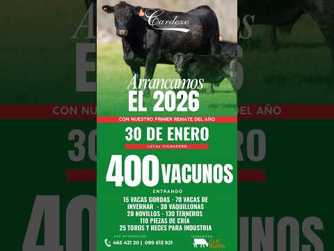 30/01/2026   Primer remate del año  - Barraca Cardozo Negocios Rurales  / Local Vichadero - Rivera