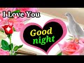 Good Night Video Good Night Status Good Night Song Good Night Photo Good Night