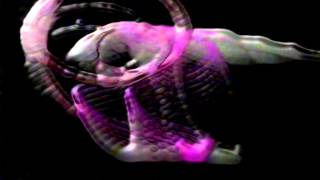Capricorni Pneumatici - The Whispering Wheel