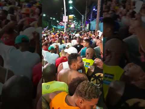 Camaleão Domingo 2018 (Mugégé/Dandalunda) By Elvis Oliveira