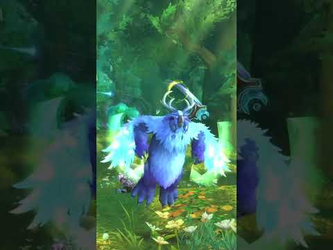 The MOST Important Secret Druid Ability in WoW
