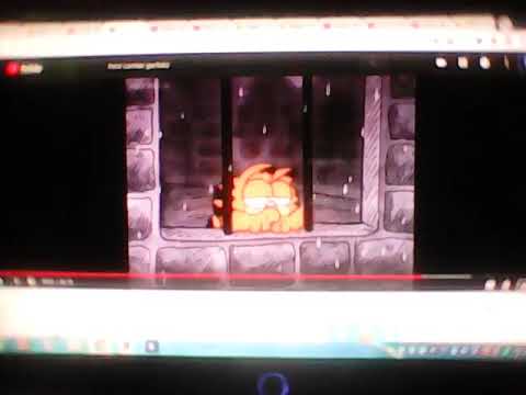 Garfield 😿 You Will Always Find Me in Your Heart ♥