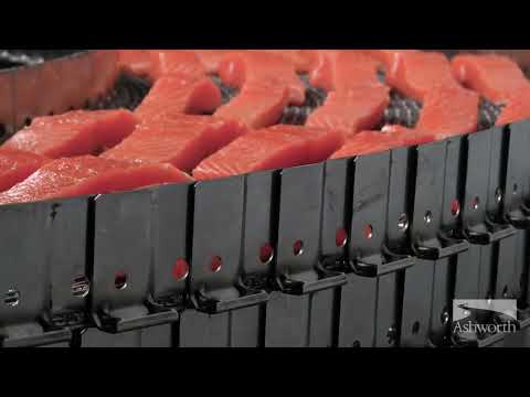 Ashworth - World Leaders of Stainless Steel Spiral Freezer Conveyor Belting