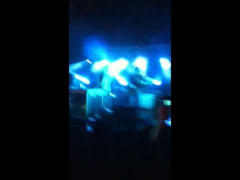 הדג נחש- בסלון של סלומון