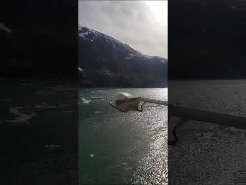 Thumbnail for Icebergs very close to our ship Carnival Spirit ♥️❤️🙏