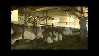 Veterinarska uprava RS