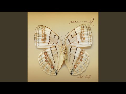 White Moth - Xavier Rudd