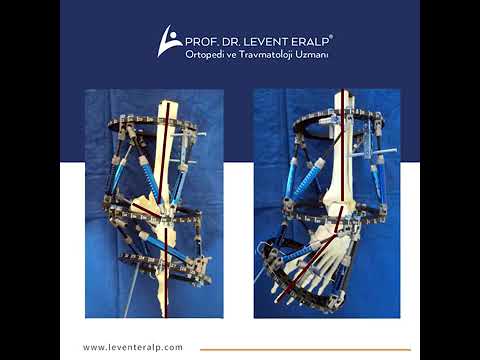 Prof Dr Levent Eralp