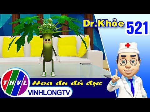 , title : 'THVL | Dr. Khỏe - Tập 521: Hoa đu đủ đực - Phần 1'