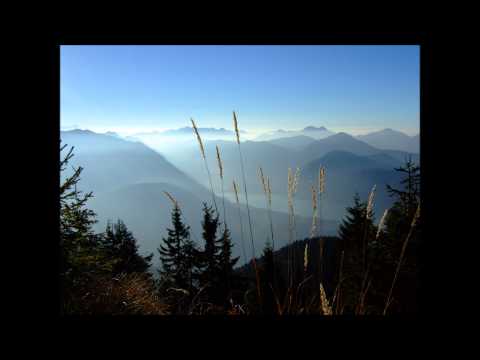 Nico Stojan - Ginkhoe (Original Mix)