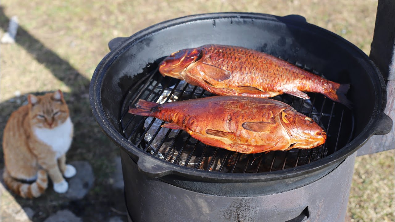 Рыба горячего копчения. Карп в казане на костре