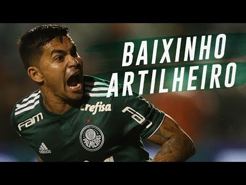 OS 50 GOLS DE DUDU PELO PALMEIRAS!