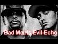 Bad Meets Evil-Echo [Music Video] (Eminem ...