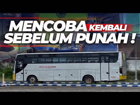 WHAT WILL BE THE FATE OF BUMEL BUSES IN 2026?⁉️😔 Trip on the Bumel Restu Agung Bus