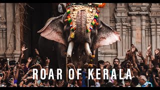 Roar Of Kerala | Thrissur Pooram