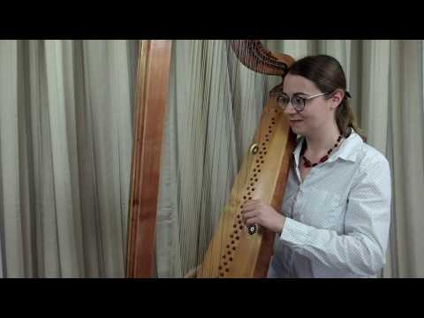 Harp sheet music: Ciaccona / Alessandro Piccinini played on baroque harp