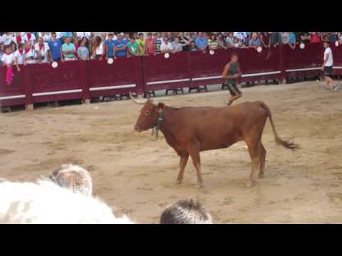 La fiesta de Vaquillas - Puente la Reina - Espanha