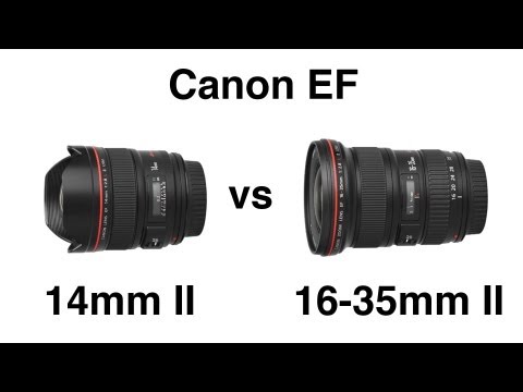 Video thumbnail for Video Review 3