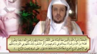 الحلقة الثالثة والثمانون من برنامج أمثال قرآنية . image