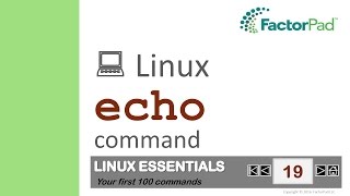 Linux echo command summary with examples