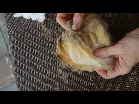 Camaj Fiber Arts fiber prep series - How to clean dirty tips with fiber arts instructor Mary Egbert