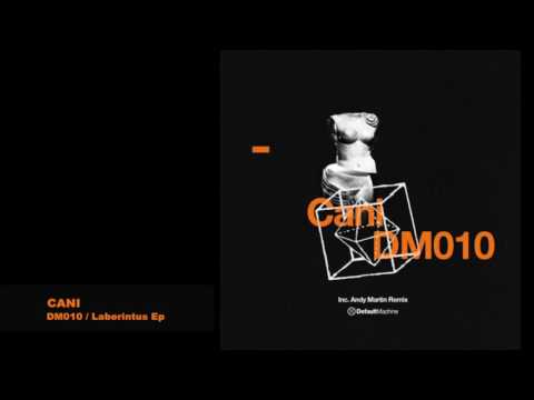 Cani- Laberintus  (Andy Martin Remix)