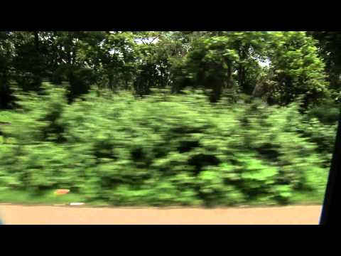 Thani Nadan I Ep 41 Part 1 – Muthari (Ragi) Pazhampori & Muthari Chips Recipe I Mazhavil Manorama