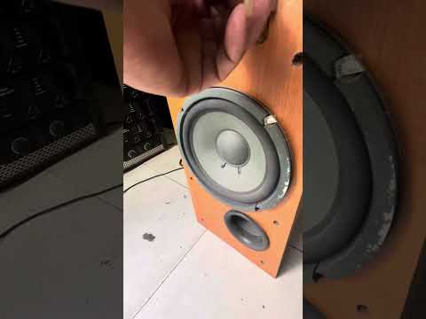 Trầm điện yamaha sw 205 bé mà có võ