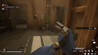 PAYDAY3初見実況0