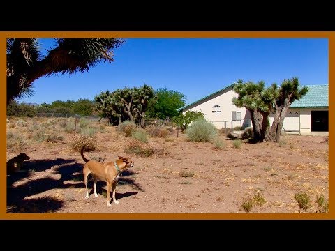 Clearing Land By Hand