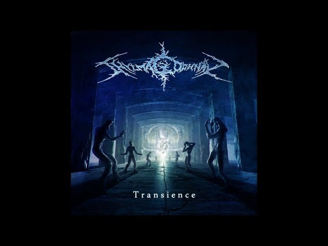 Video pronuncia di transience in Inglese