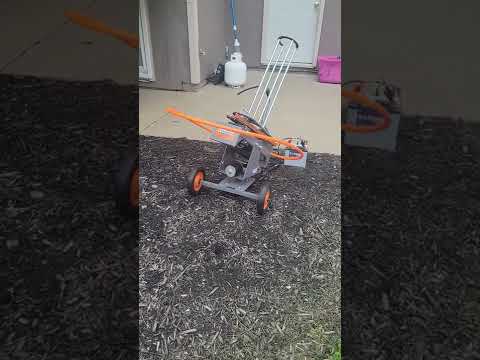 Champion Wheelybird 2.0 with Wobble Base