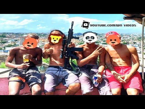 MC GB DE FRIBURGO - MEDLEY PRO TERRA NOVA ✌️🚩