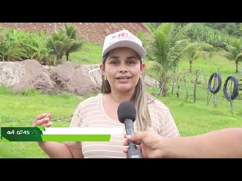 Mulheres do Agro de Alagoas promovem dia de campo sobre agricultura familiar em Santana do Mundaú