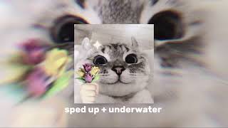 Download lagu - ramadhan tiba - Opick (sped up) mp3