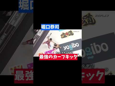 最強のカーフキック　堀口恭司　#shorts #rizin #堀口恭司 #bellator #朝倉海 #カーフキック