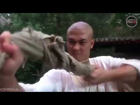 THE TAI CHI MASTER, JET LI