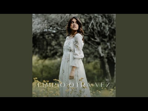 Limpio Otra Vez