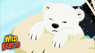 Polar Bear Transformation | Creature Transformations | Wild Kratts gameplay video by Mrsm, 68:54 duration