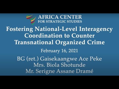 Fostering National-Level Interagency Coordination to Counter Transnational Organized Crime