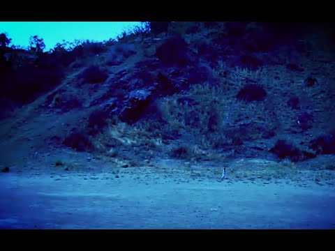 Cave Explorers Attacked By Unknown Creature (Squatchable Stories)