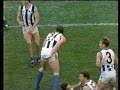 Richmond V North Melbourne AFL Round 13 1994 Closing Exciting Minutes