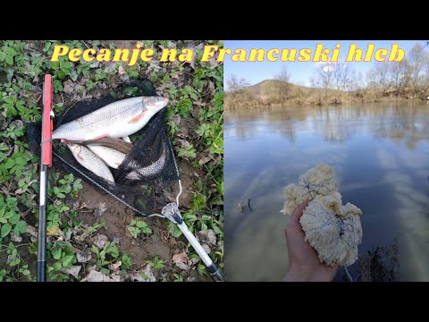 Pecanje Skobalja i Klena na HLEB