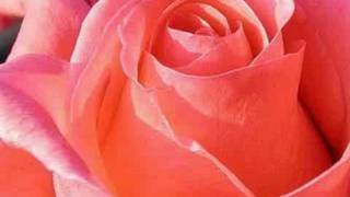 Smell The Roses - Natasha Beddingfield