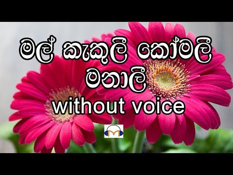 Mal Kakuli Komali Manali Karaoke (without voice) මල් කැකුලී කෝමලී මනාලී