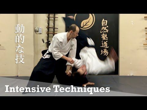 Intensive Aikido Training - Basics and Multiple Attackers