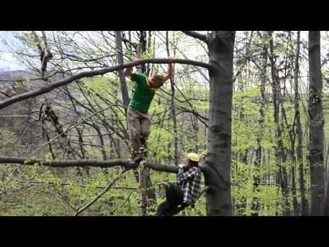 Ochrana slonů – "Kouzelný obojek"
