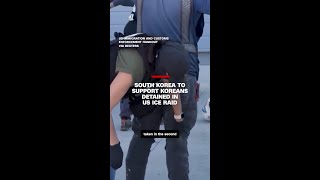 Download lagu South Korea to support Koreans detained in US ICE raid mp3