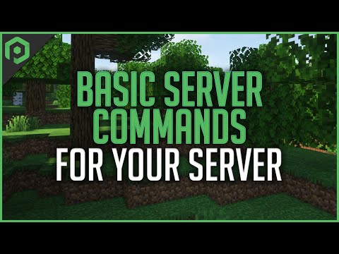 Basic Server Commands for Your Server!