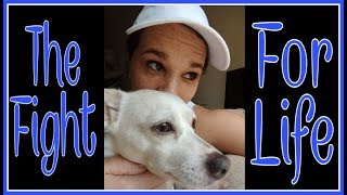 Why My LAST Years Will Be For You!